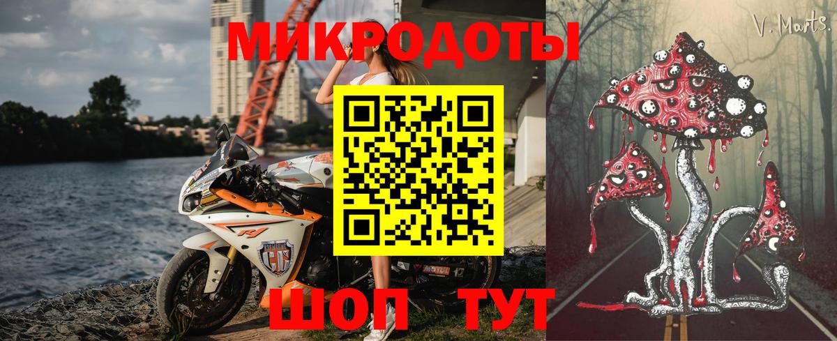 Псилоцибиновые грибы Psilocybine cubensis  Вход с VPN  Черняховск 